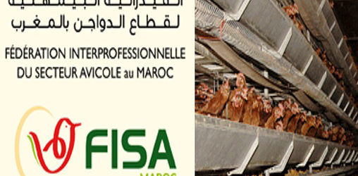 Maroc : la FISA dément une décision européenne sur le refus des exportations avicoles marocaines