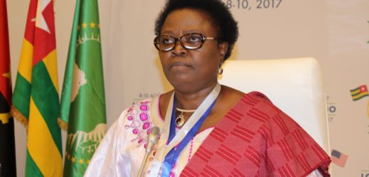 Togo : vers la mise en place d’une stratégie de promotion du secteur privé