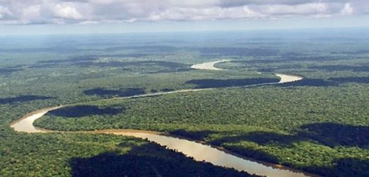 Plus que trois mois pour mobiliser les ressources en faveur du fonds bleu du Bassin du Congo
