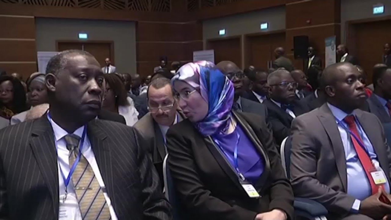 Polémique autour des délégations africaines à la COP23 (décryptage)