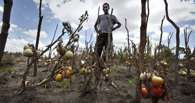 Maroc : le développement de l’assurance agricole confié à FINACTU