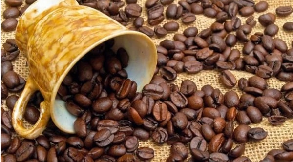 Côte d’Ivoire : 12 milliards FCFA de subvention pour maintenir le prix d’achat du café