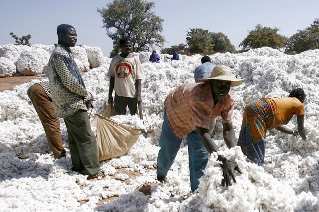 Burkina Faso: l’IFTC signe un accord Mourabaha sur le coton