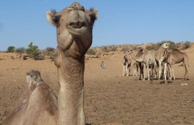 Mauritanie : le tourisme officiellement de retour