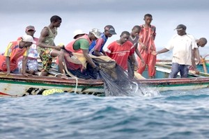Accords de pêche: L’Union européenne verse 57,5 millions d’Euros à la Mauritanie