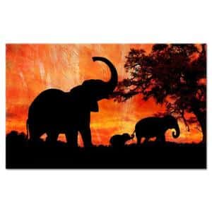 Assurance CIMA: l’éléphant creuse l’écart