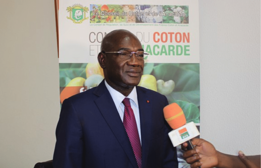 Côte d’Ivoire : le pari de bonifier le taux de transformation de la noix de cajou en marche