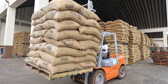 Côte d&rsquo;Ivoire: Bolloré lance un nouveau magasin d&rsquo;entreposage de cacao