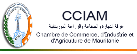 Mauritanie : Ahmed Baba Ould Eleye, nouveau patron  de la CCIAM 