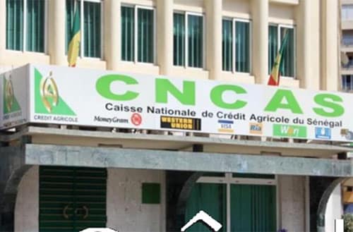 Sénégal : la CNCAS va diversifier ses offres bancaires