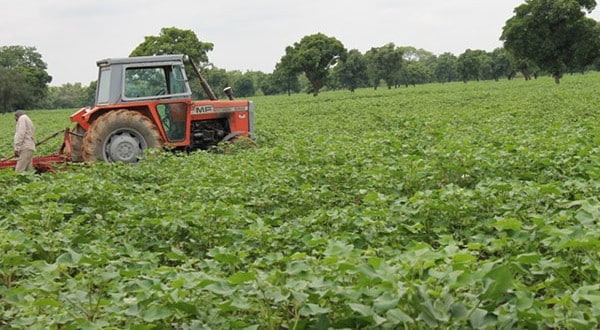 La nouvelle Banque Agricole du Faso a du champ