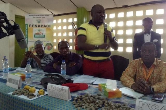 Côte d’Ivoire: Des producteurs de cajou entre fermeté et inquiétude pour la campagne 2018