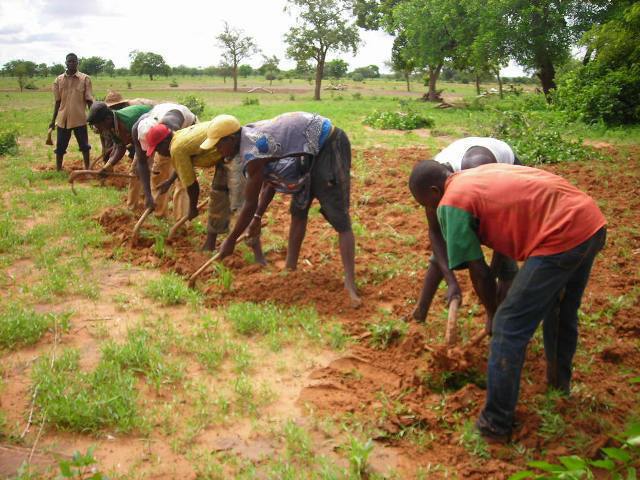 Banque Atlantique et la SFI en partenariat pour financer les petits paysans en Afrique de l’Ouest