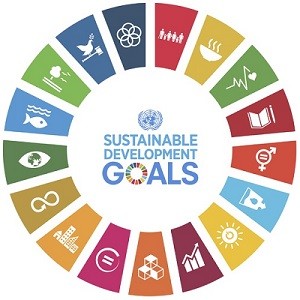 Le Forum régional 2018 sur le développement durable programmé pour Dakar