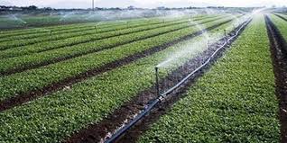 La BAD décaisse 200 millions d’euros au profit de l’agriculture marocaine
