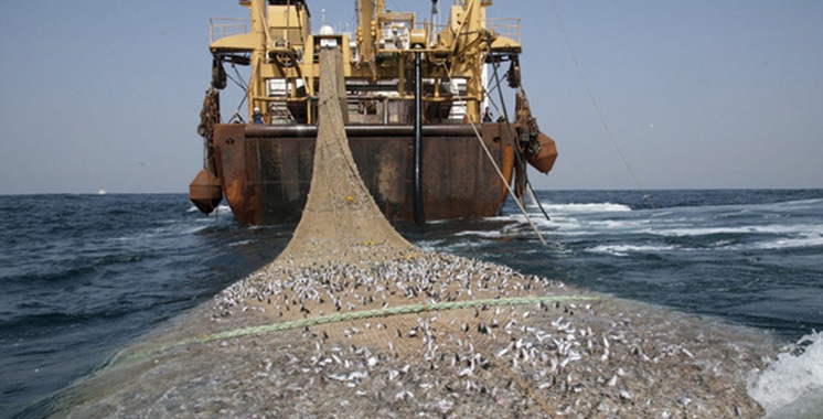 Sénégal : vers une révision du Code de la pêche maritime et « son application rigoureuse »