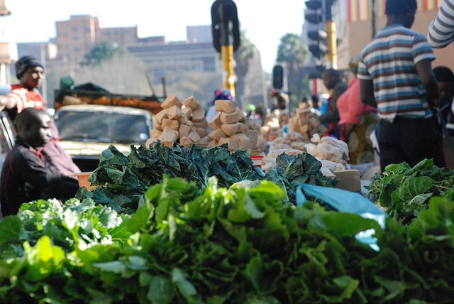 Le premier Forum des investisseurs en Afrique pour la nutrition va se pencher sur les moyens d’attirer les investissements du secteur privé dans l’industrie alimentaire africaine en vue de la dynamiser et de lutter contre la malnutrition