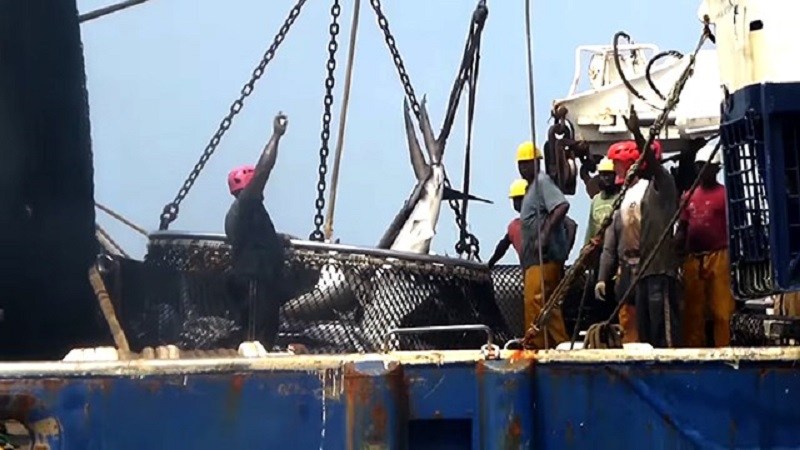 Un accord de pêche gagnant-gagnant signé entre le Gabon et l´Union européenne