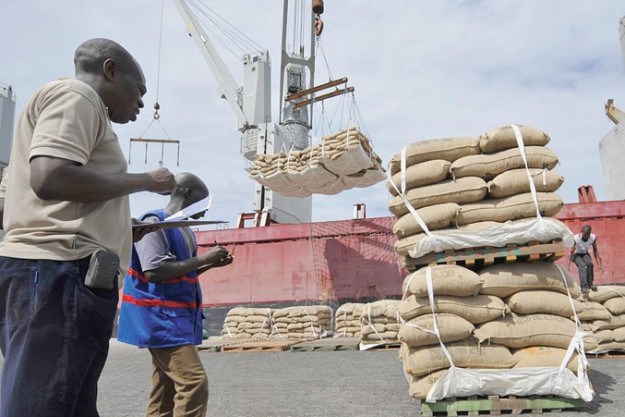Côte d’Ivoire : le prix du cacao pour la nouvelle campagne en hausse de 100 FCFA