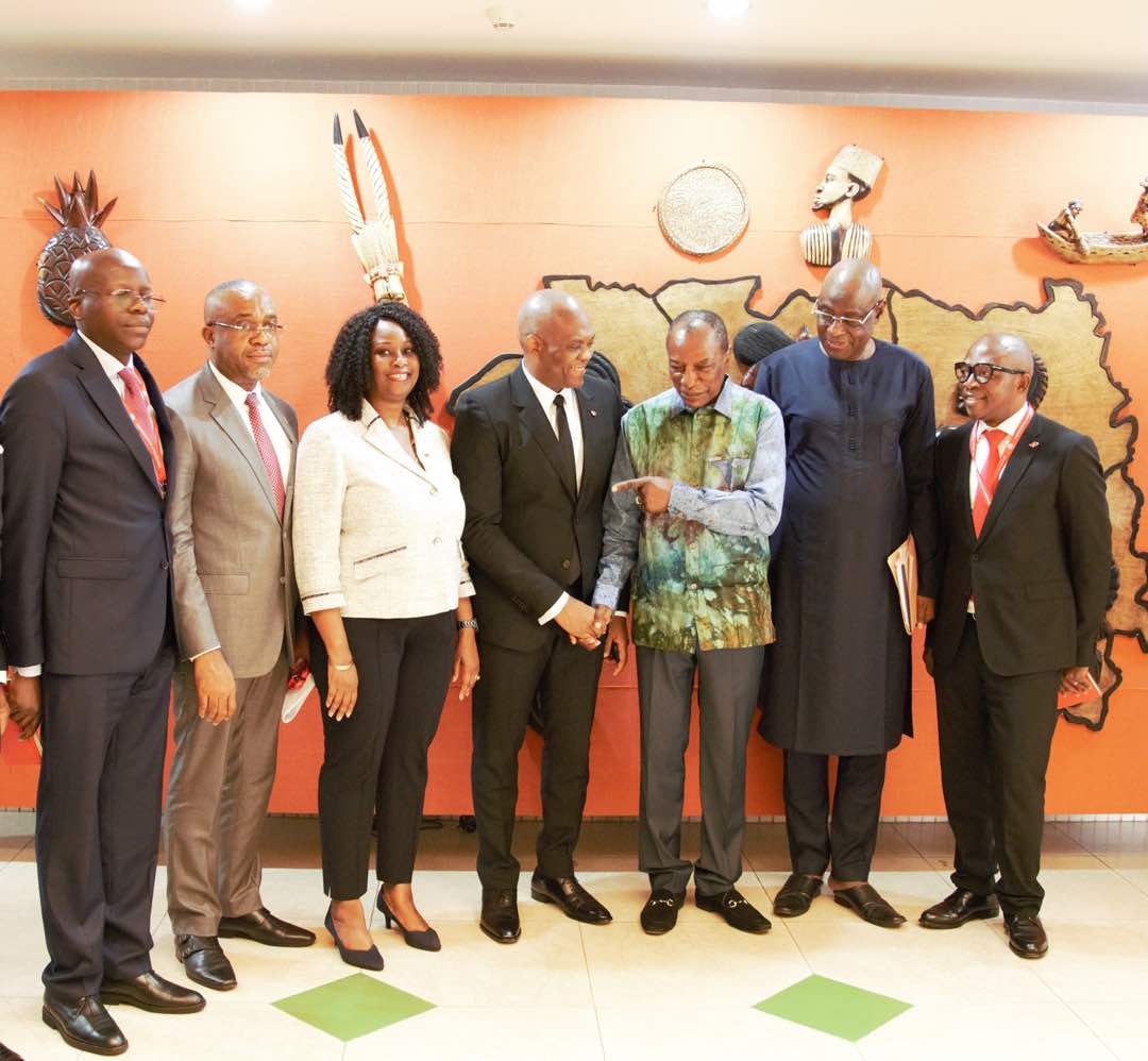 Le Président guinéen accueille Tony Elumelu