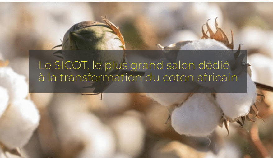 SICOT : La transformation intégrée du coton, facteur de création d’emplois et de richesses