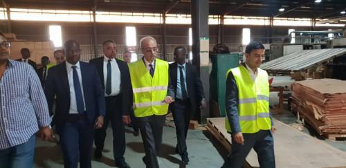 Gabon : une société égyptienne fait son entrée dans la transformation du bois