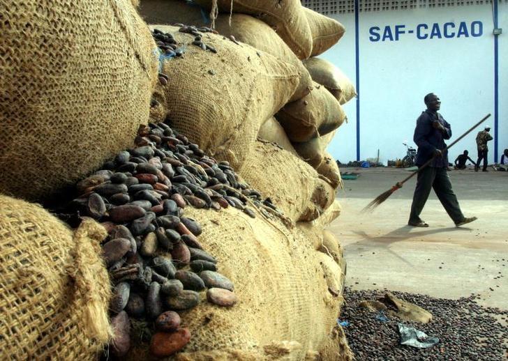 Côte d’Ivoire : le prix de la campagne intermédiaire de cacao fixé à 1 200 FCFA/kg