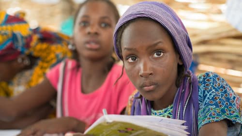 Les pays d&rsquo;Afrique subsaharienne face au défi de l&rsquo;éducation