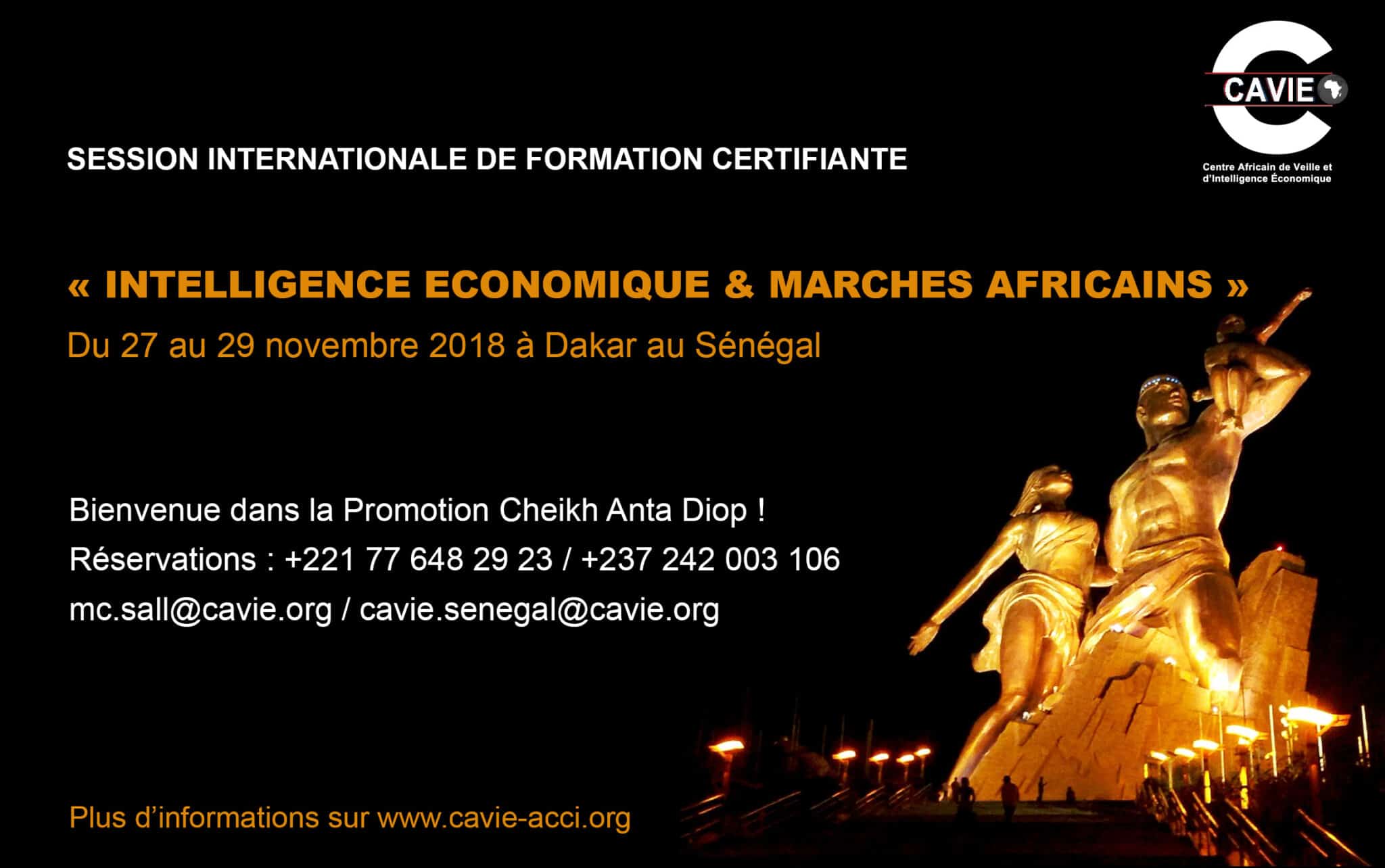 Intelligence économique en Afrique : CAVIE formation arrive à Dakar