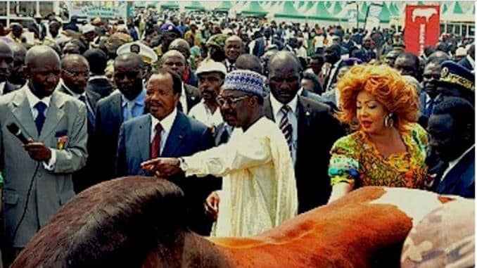 Cameroun- Nexttel : mais que cherche Baba Ahmadou Danpullo ?