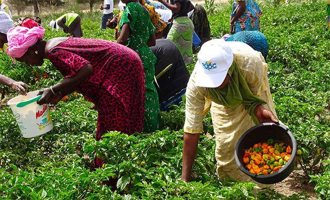 Sénégal : 60 millions € de la Banque africaine de développement pour appuyer le Programme d’urgence de développement communautaire