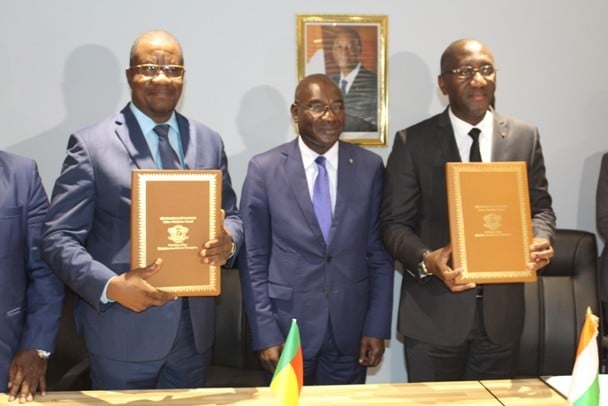 Côte d’Ivoire : Abidjan, capitale des pays producteurs africains de noix de cajou