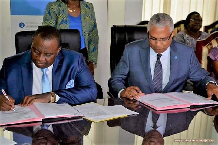 Côte d’Ivoire : 270 millions FCFA de la FAO pour lutter contre la peste porcine africaine