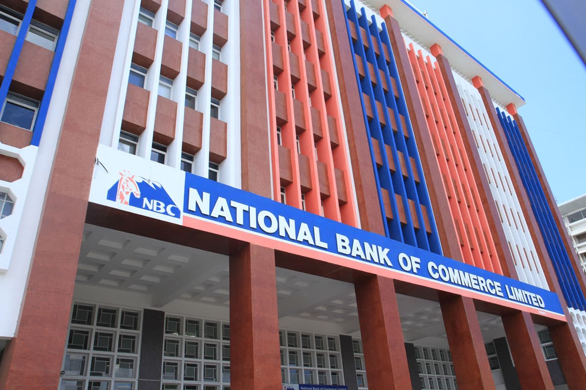 Tanzanie : 22 banques risquent de devenir insolvables en cas de crise (FMI)
