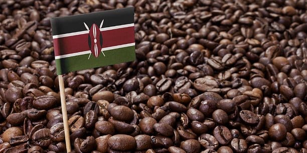 Kenya : environ 16 millions de dollars de café vendus entre octobre et novembre 2018