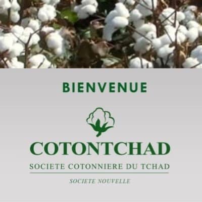 L’Etat tchadien reprend les passifs de la société cotonnière