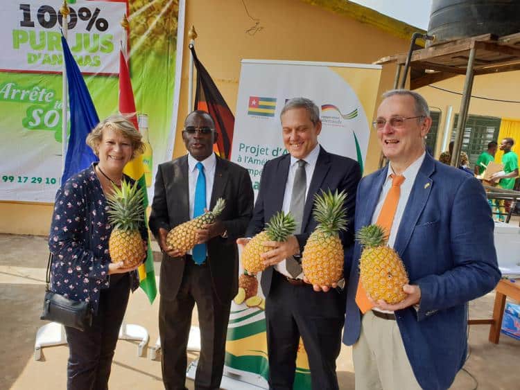 Togo : l’UE et l’Allemagne débloquent environ 6 millions d’euros pour améliorer la compétitivité de la culture d’ananas
