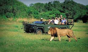 L’Afrique enregistre une hausse des arrivées de touristes en 2018