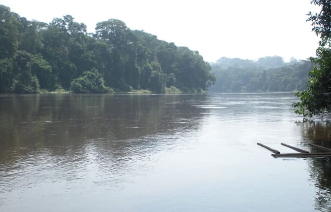 Cameroun : l’appui de la Banque mondiale au secteur hydroélectrique