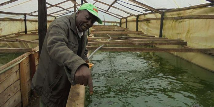 Kenya: Liquid Télécom lance une solution pour les pêcheurs