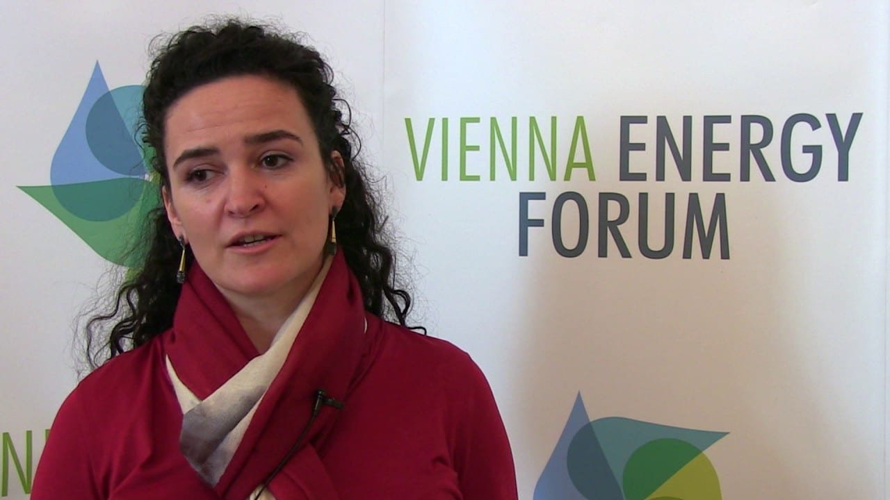 Les FIC envisagent de lever 500 millions USD d’obligations vertes entre 2019 et 2020