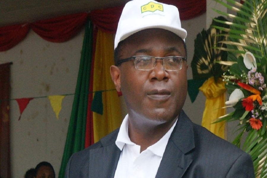 La Cameroon Developpment Corporation au bord du gouffre