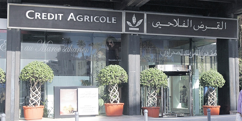 Maroc : partenariat entre l’OCP et le CAM en faveur des agriculteurs marocains