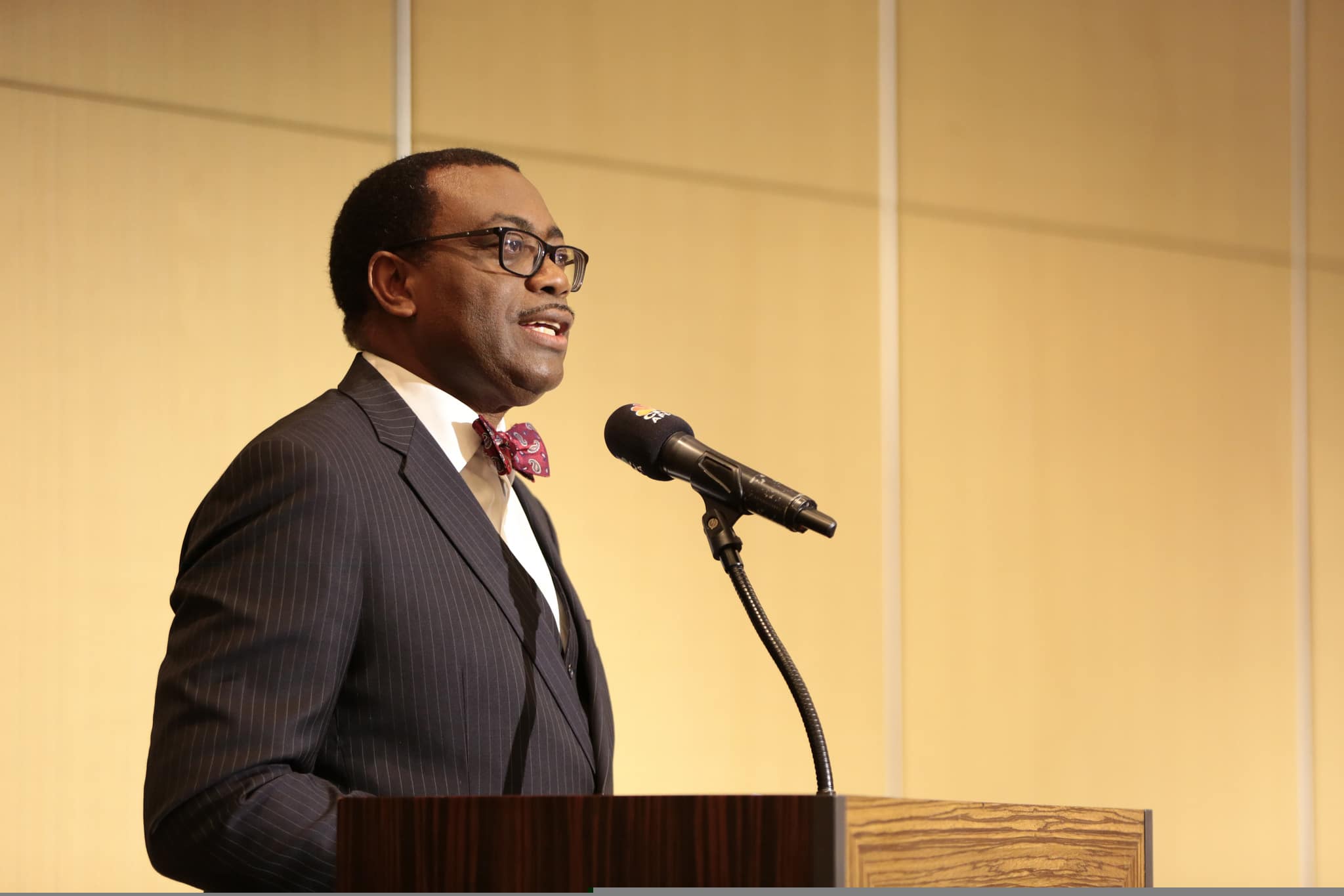 Akinwumi Adesina, PDG de la BAD: le programme High Five a impacté  335 millions de personnes