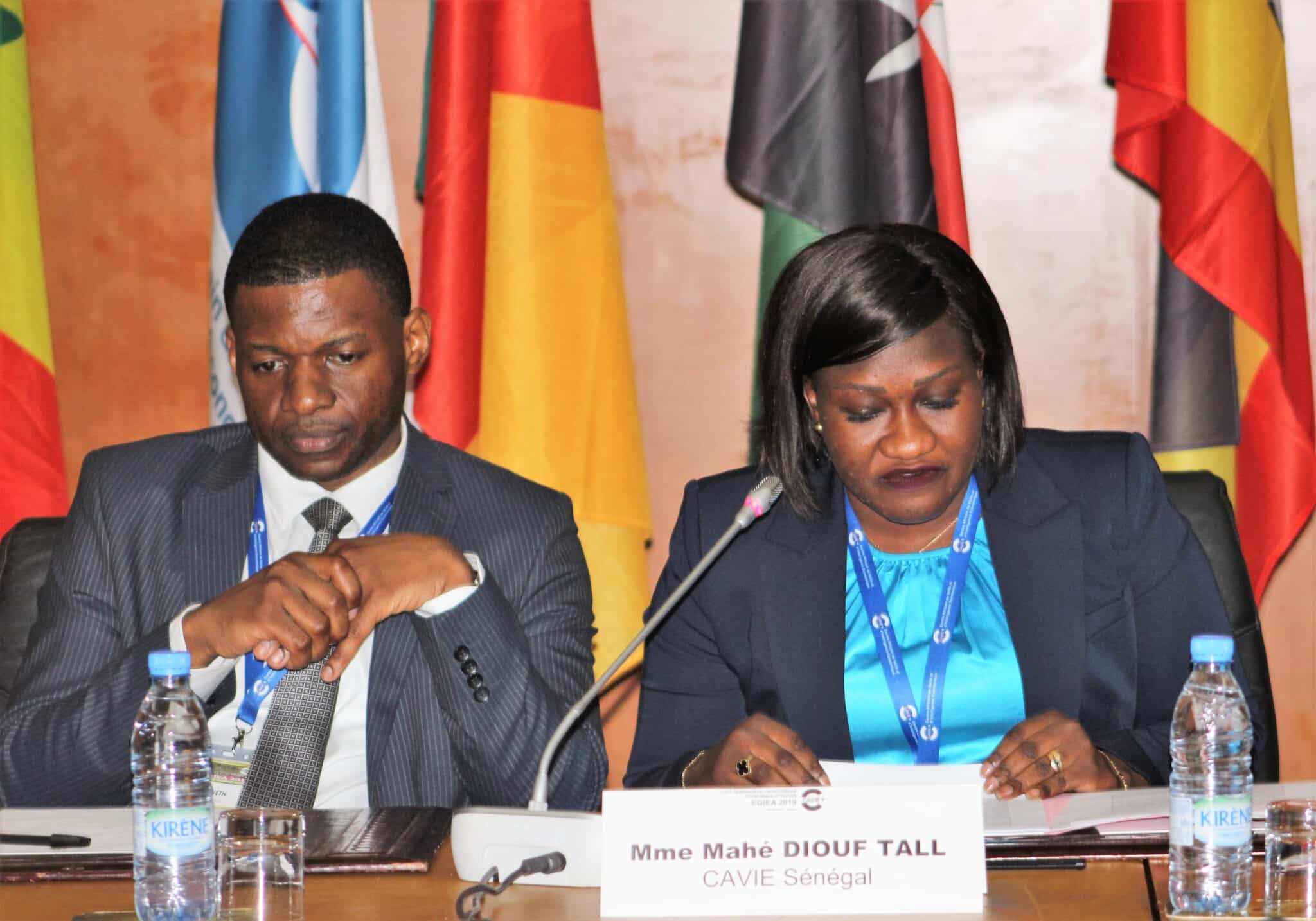 Mahé Diokel Diouf Tall, nouvelle représentante du Centre Africain de Veille et d’Intelligence Economique au Sénégal