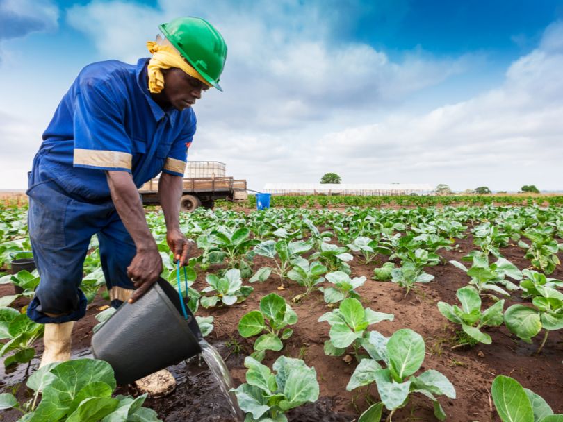 WorldCover lève 6 M $ pour l’assurance climat des marchés émergents