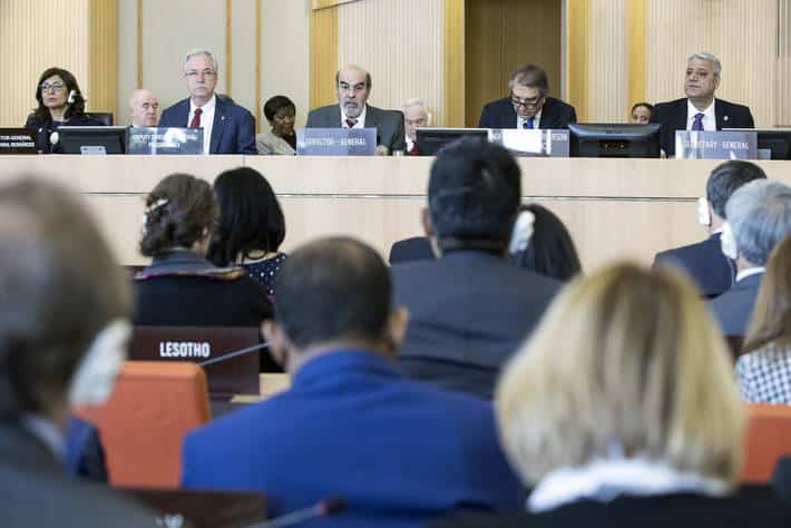 FAO: duel Europe -Chine suite aux retraits camerounais et indien