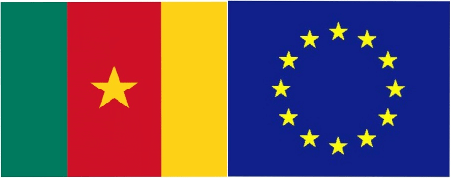 Union européenne-Cameroun : compte et mécompte des APE