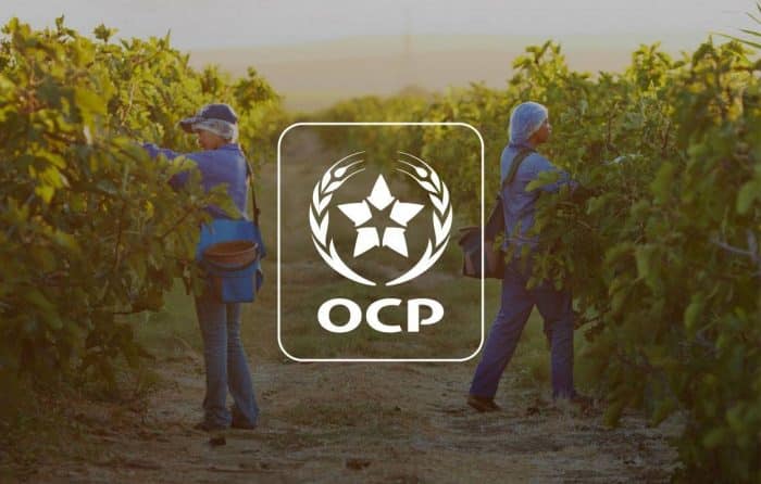 Maroc : le géant OCP enregistre des résultats annuels mitigés en dépit de la reprise du marché des engrais