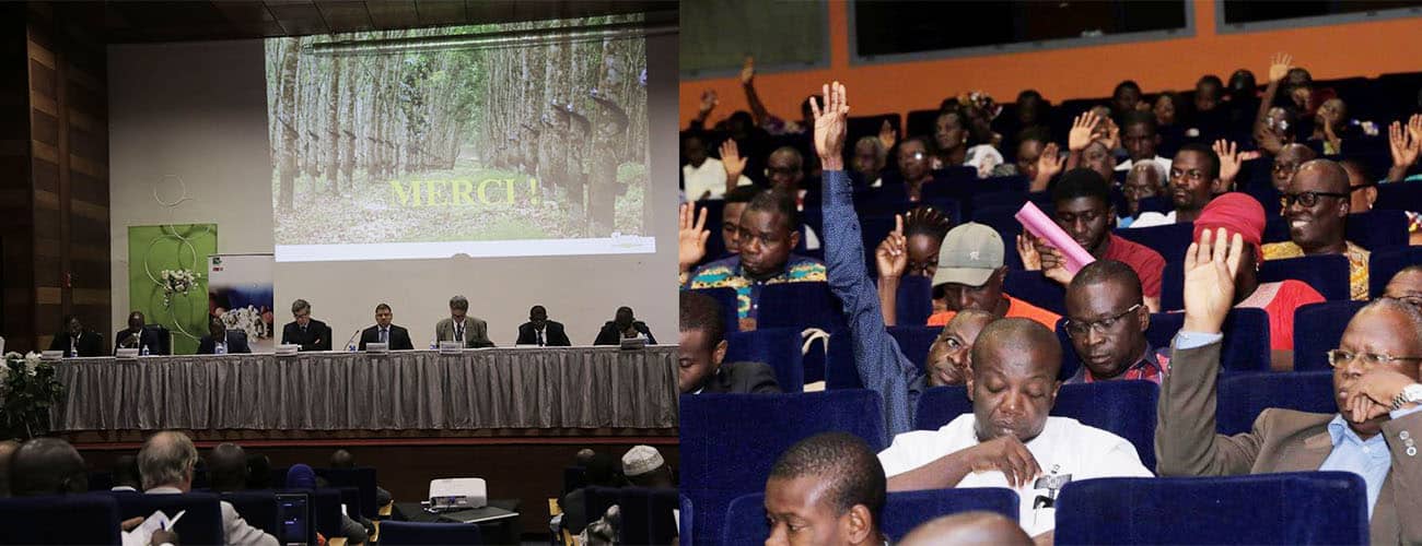 En Côte d’Ivoire, un redressement fiscal impacte le résultat semestriel de la société SAPH